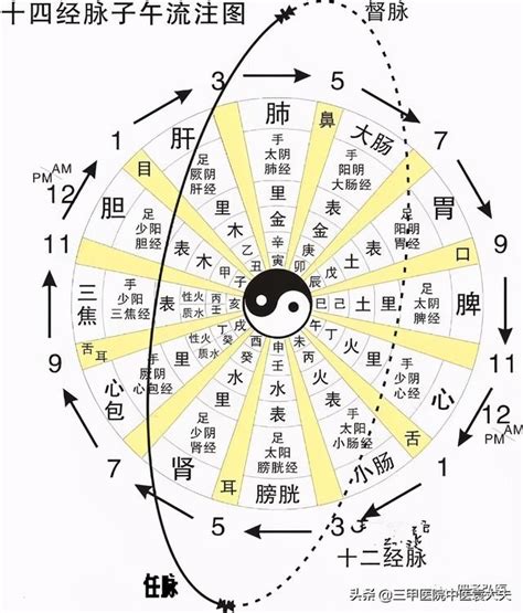 陰陽轉化|黃帝內經 06 筆記